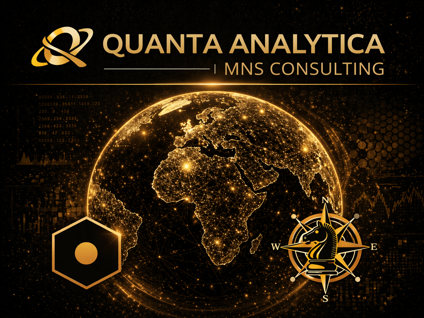 Quanta Analytica / MNS Consulting logo